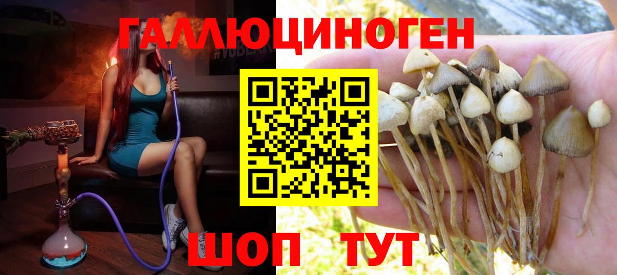 Псилоцибиновые грибы прущие грибы  Псилоцибиновые грибы Magic Shrooms  Вход с VPN  Котлас 